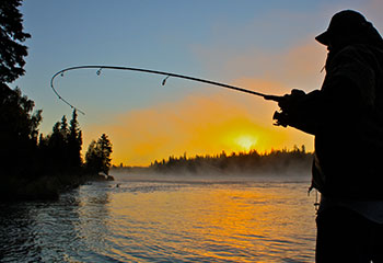 Find out more about Fishing Packages